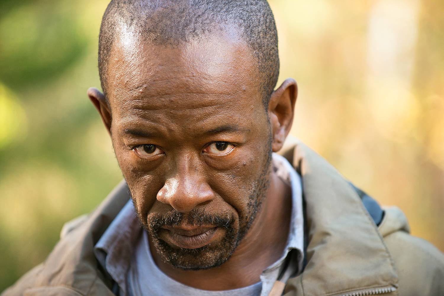 The Walking Dead Morgan