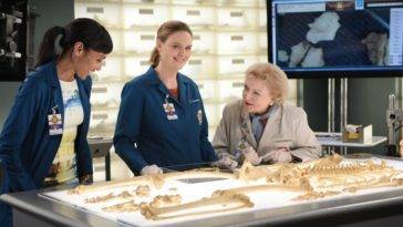 Bones