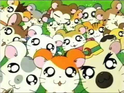 Hamtaro