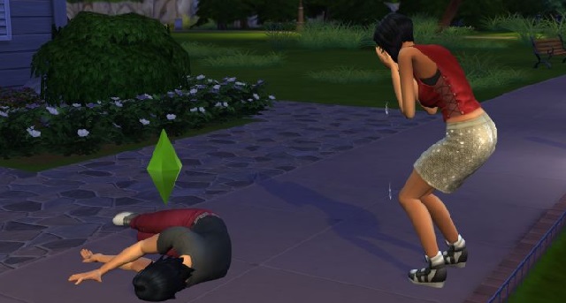 the sims