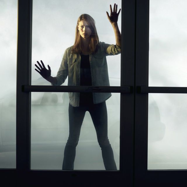 The Mist