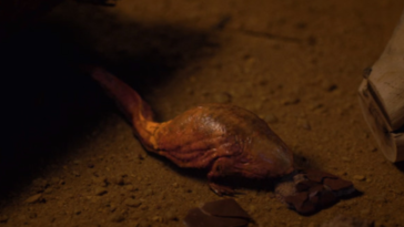 Stranger Things, Dart