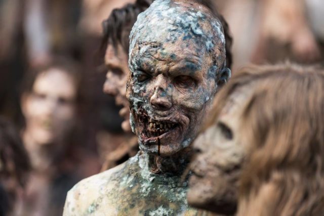 the walking dead