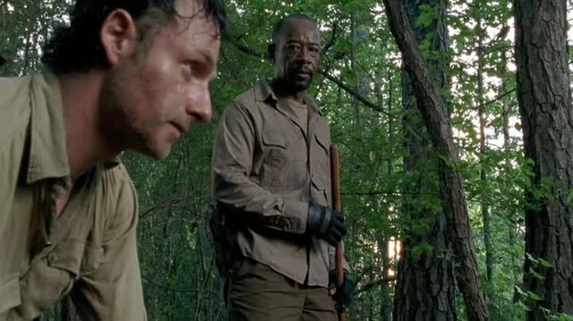 the walking dead