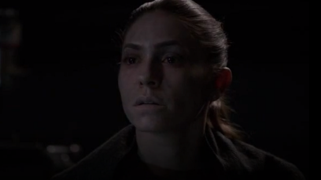 agents of s.h.i.e.l.d.