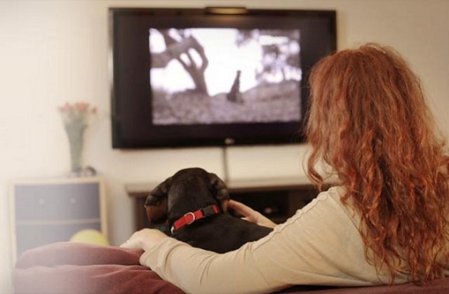 speed watching