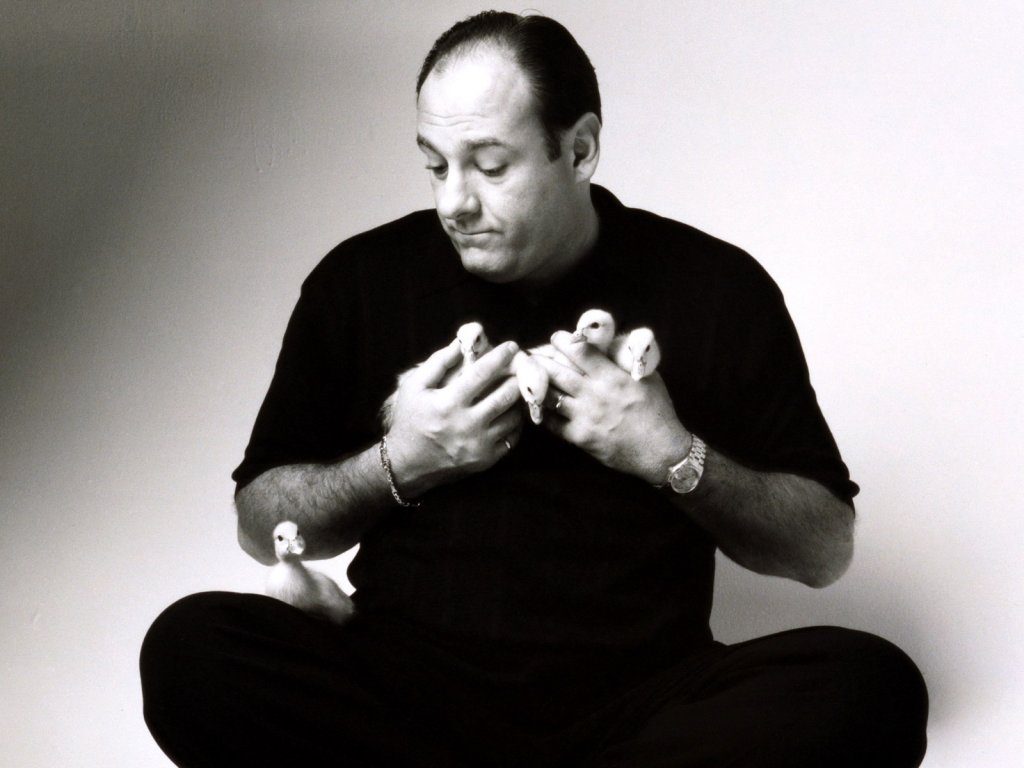 i soprano gandolfini