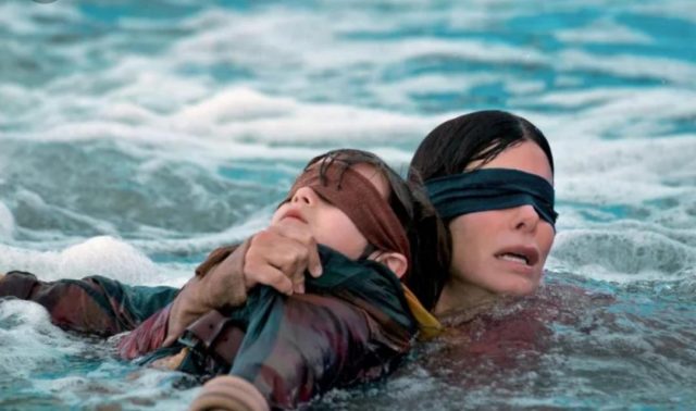 Bird Box - Netflix