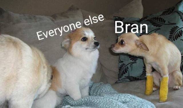 Bran