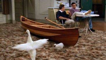 Friends