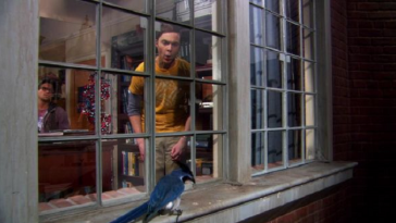 the big bang theory