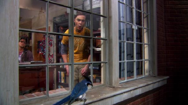 the big bang theory