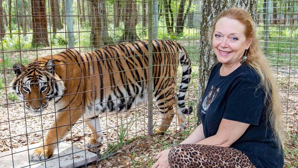 Tiger King - Carole Baskin