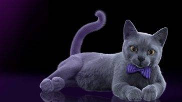 catflix