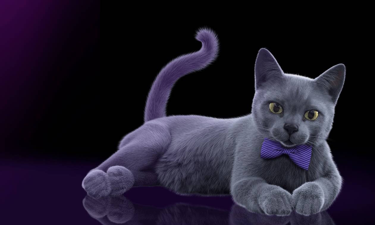 catflix