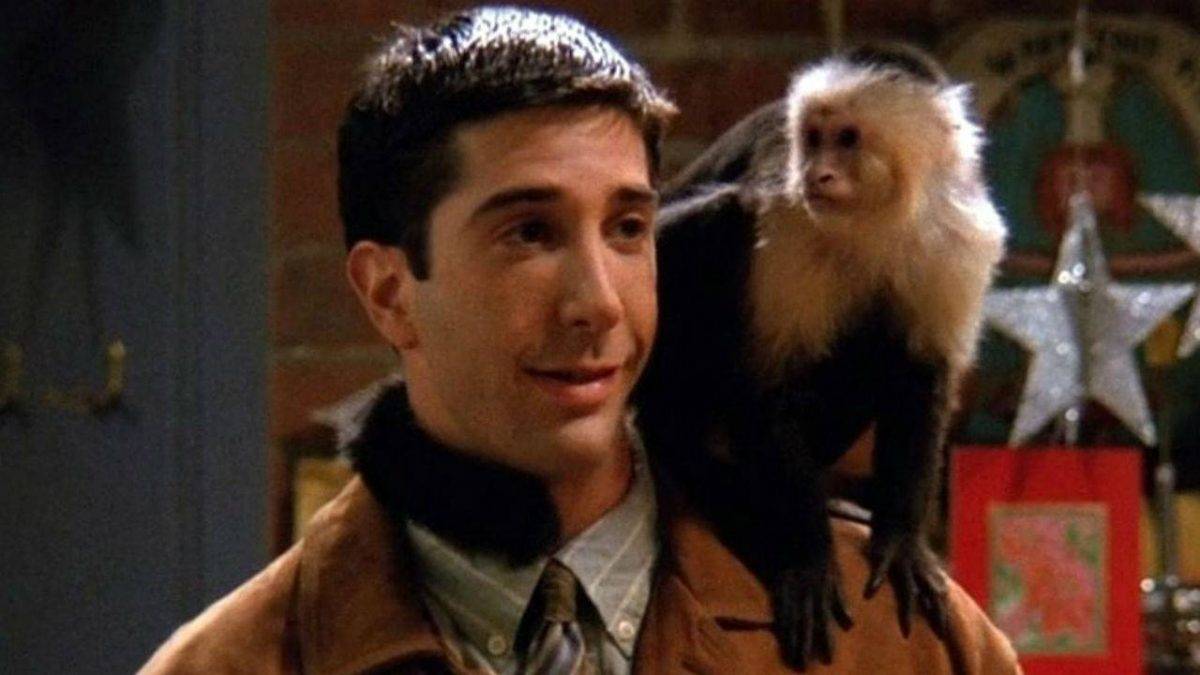 Friends