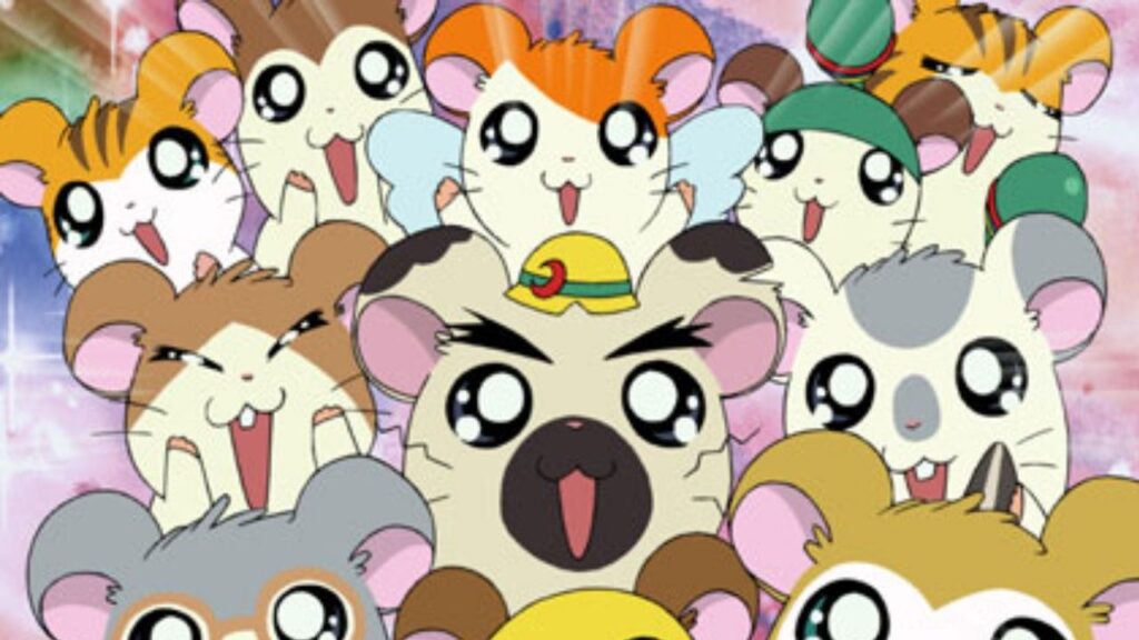 hamtaro