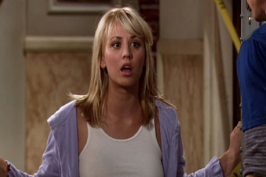 the big bang theory