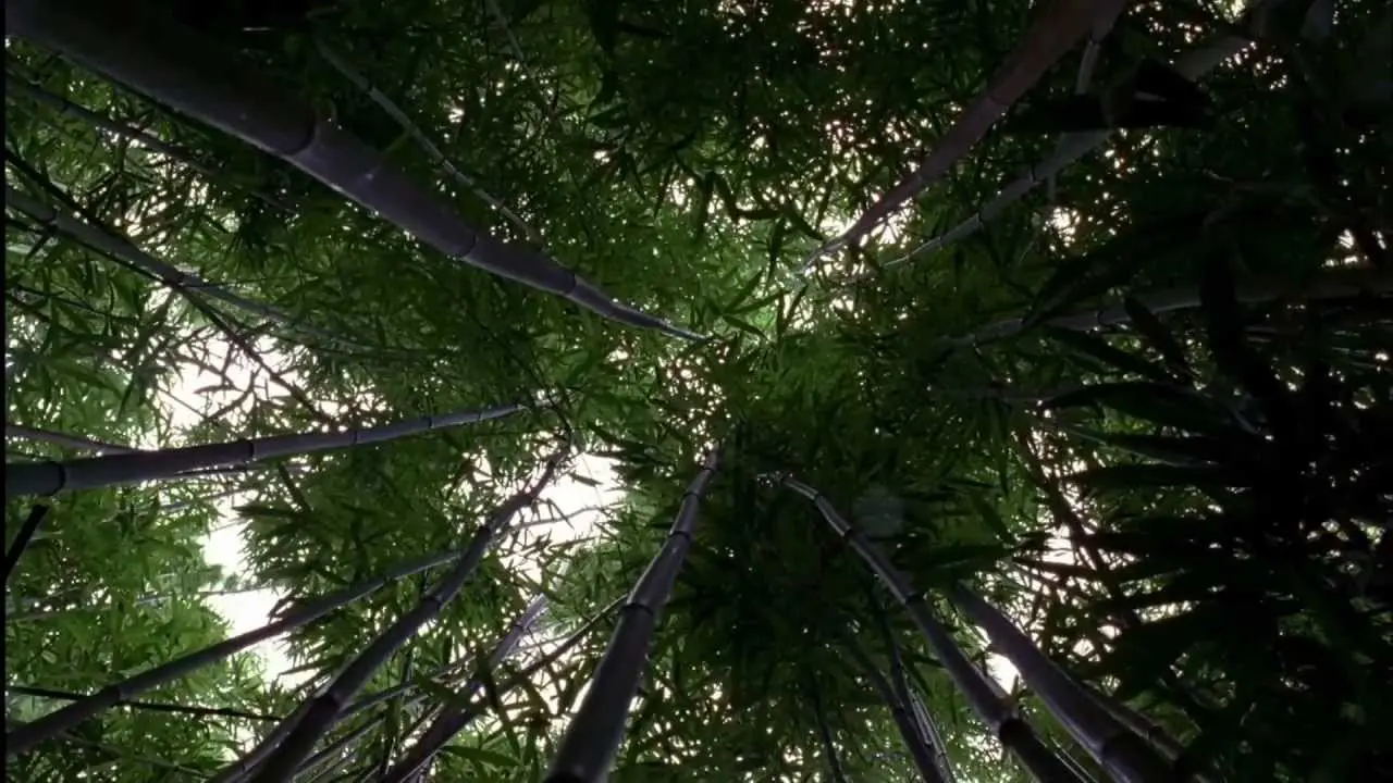 Lost e l’intelligenza collettiva: il finale che non esiste