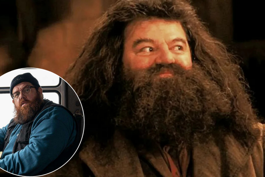 Nick Frost a paragone con il personaggio di Hagrid nel film di Harry Potter