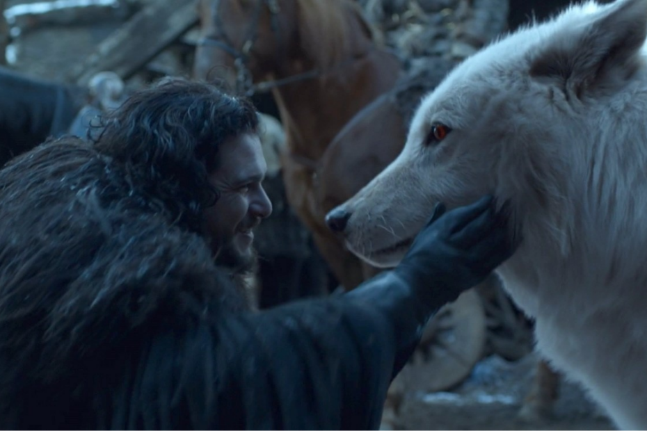 Jon Snow e il metalupo Spettro in Game of Thrones