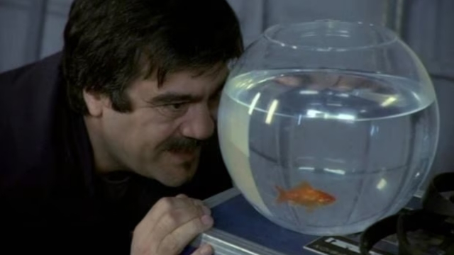 Renè mentre parla con il pesce Boris in una delle migliori serie tv comedy da vedere
