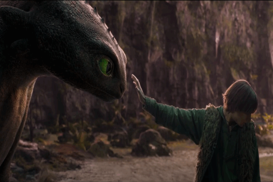 Dragon Trainer