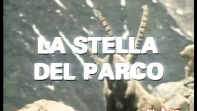 La sigla de La stella del parco