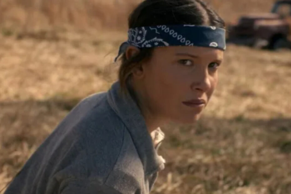 Stranger Things 5, una delle serie tv in streaming più popolari di sempre