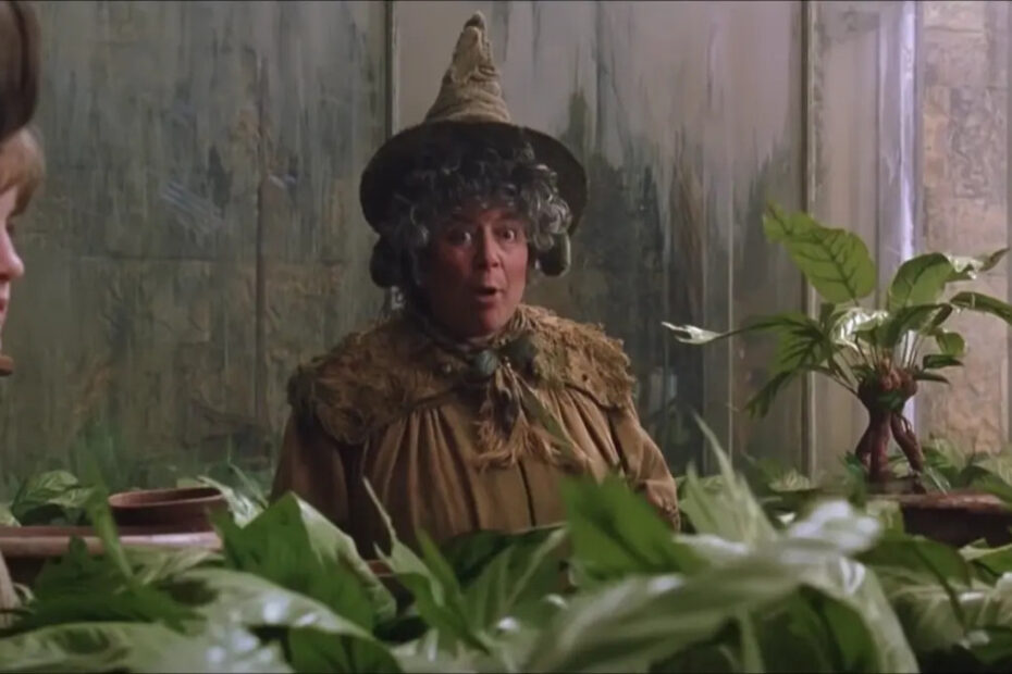 Miriam Margolyes critica la Serie Tv HBO Harry Potter