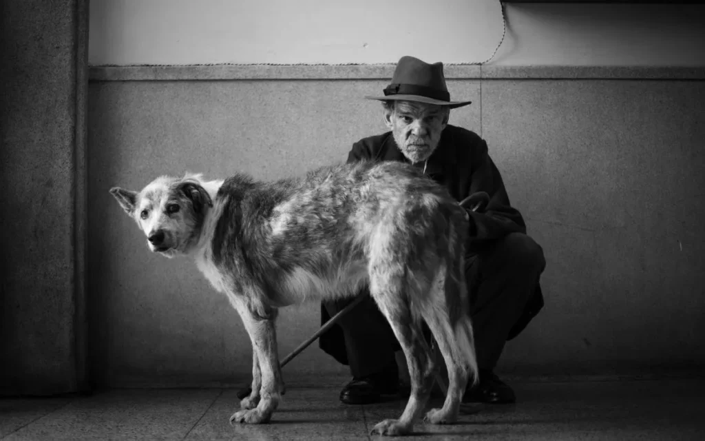 Una scena del film Lo Straniero di Ozon del 2025