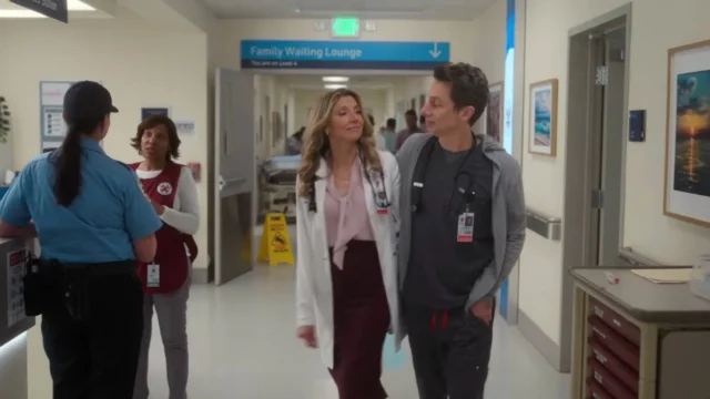 Un'immagine di Elliot e JD in Scrubs 10