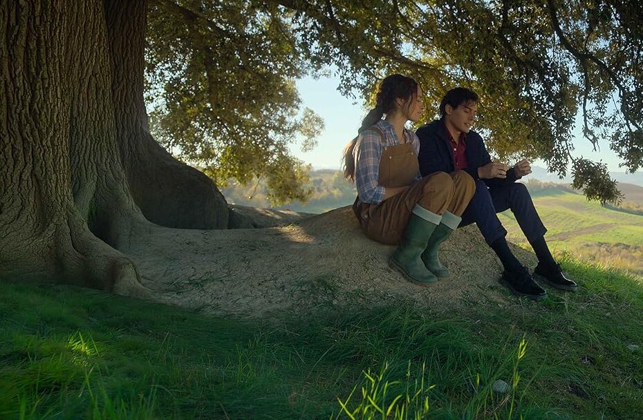 Non è un paese per single commedia romantica di Prime video