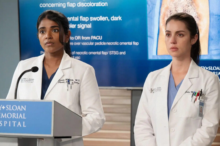 una scena tratta da Grey's Anatomy 22