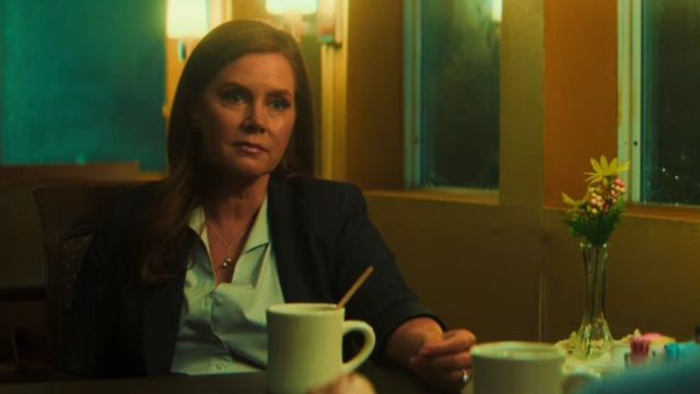 Amy Adams nei panni di Anna Bowden