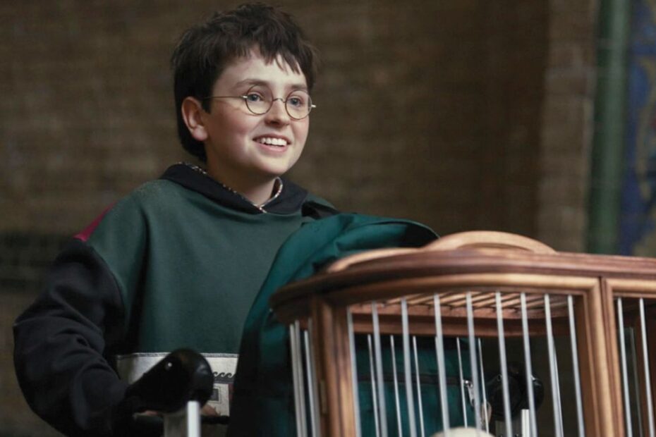 Harry Potter sarà su HBO Max: arriverà quindi su Skydance?