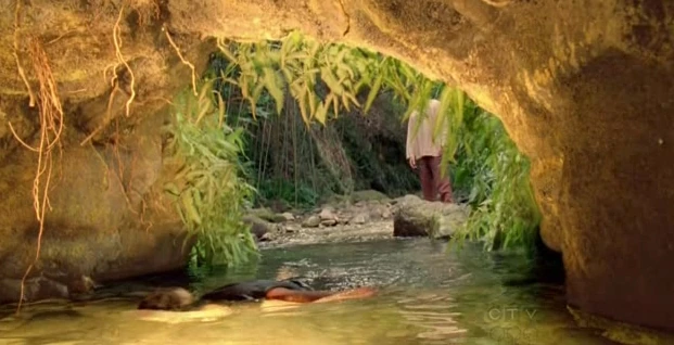 La natura dell’isola di Lost