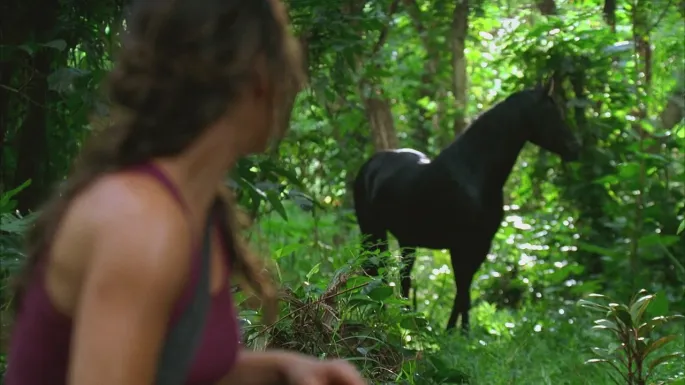 Il cavallo nero di Kate di Lost